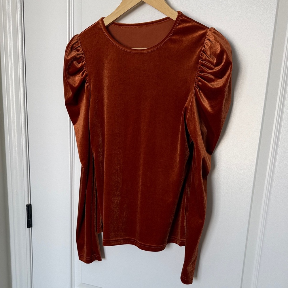 Elegant Rust Velvet Women's Top